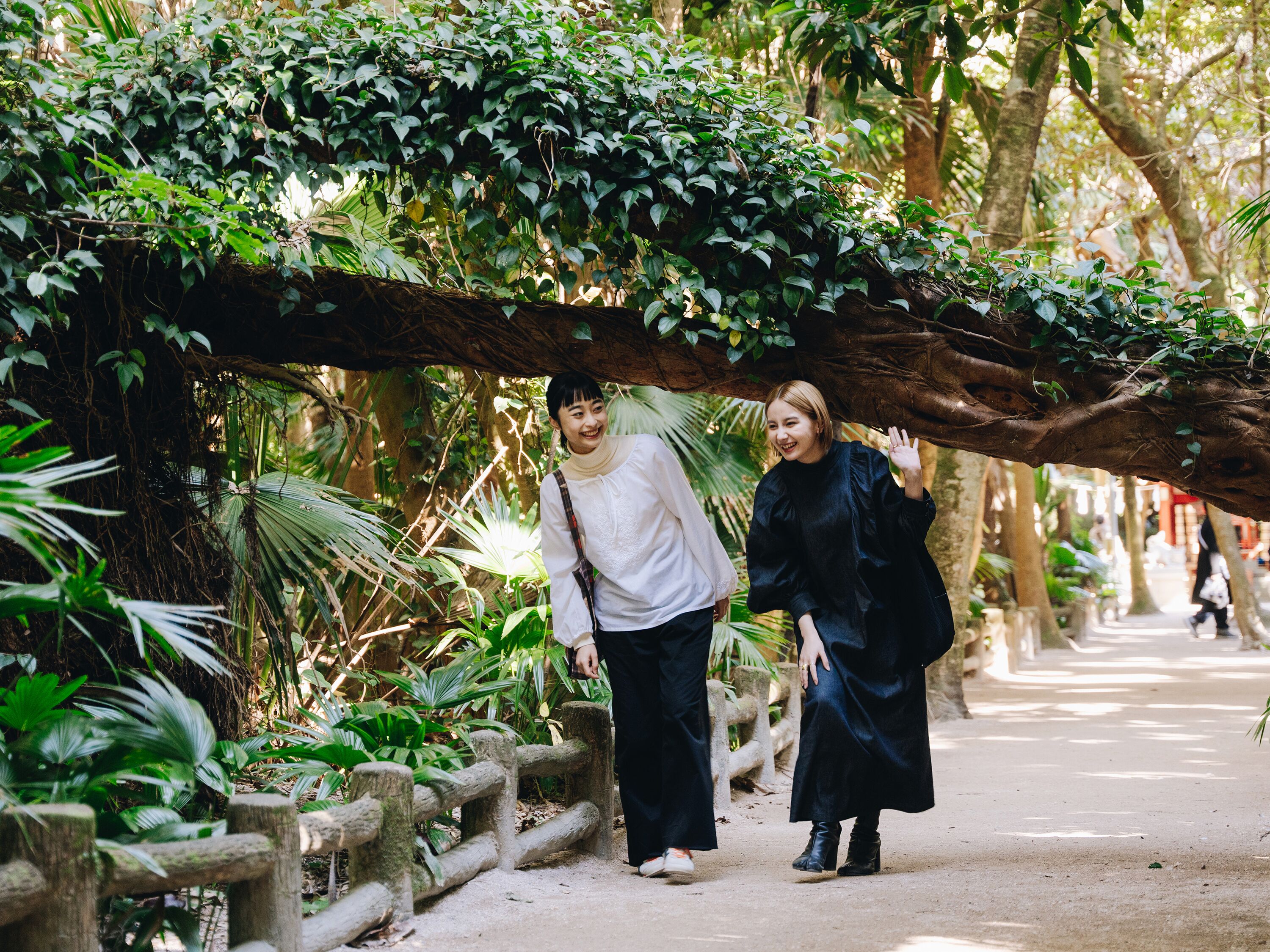 city view from property