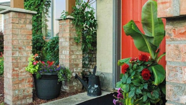 Una casa de ladrillo con puerta roja, plantas en macetas y un regador negro.