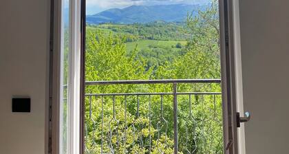 Langhetta's houseApartment in Alta Langa