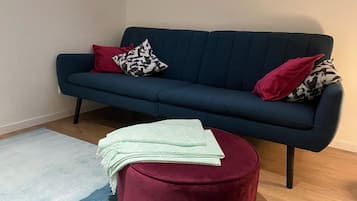 Smart TV, DVD player, books, stereo