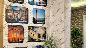 A wall with photos of various landmarks and a potted plant. - Bloomtalya Hotel  (Antalya)