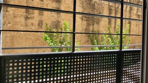 Una ventana con una reja de metal, a través de la cual se ve un muro de ladrillo y plantas verdes.