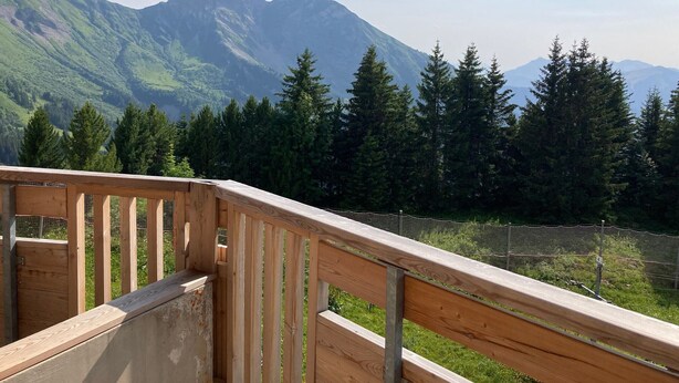 Una terraza de madera con vistas a montañas y árboles de hoja perenne.