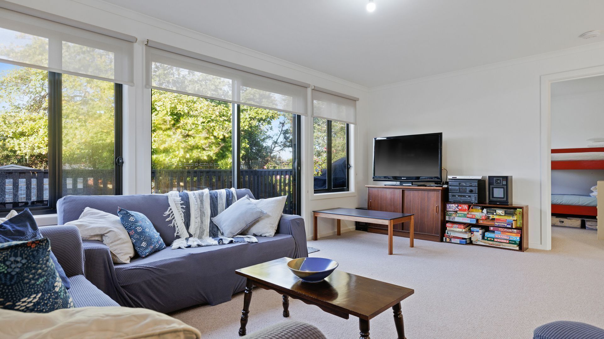 TV, fireplace, DVD player, books