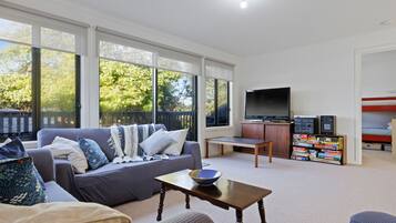 Televisión, chimenea, reproductor de DVD, libros