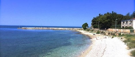 Ranta