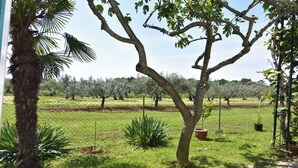 A fenced garden with palm trees, a grassy area, and a row of trees in the background. - Spacious Basement Apartment Near Umag (Umag)