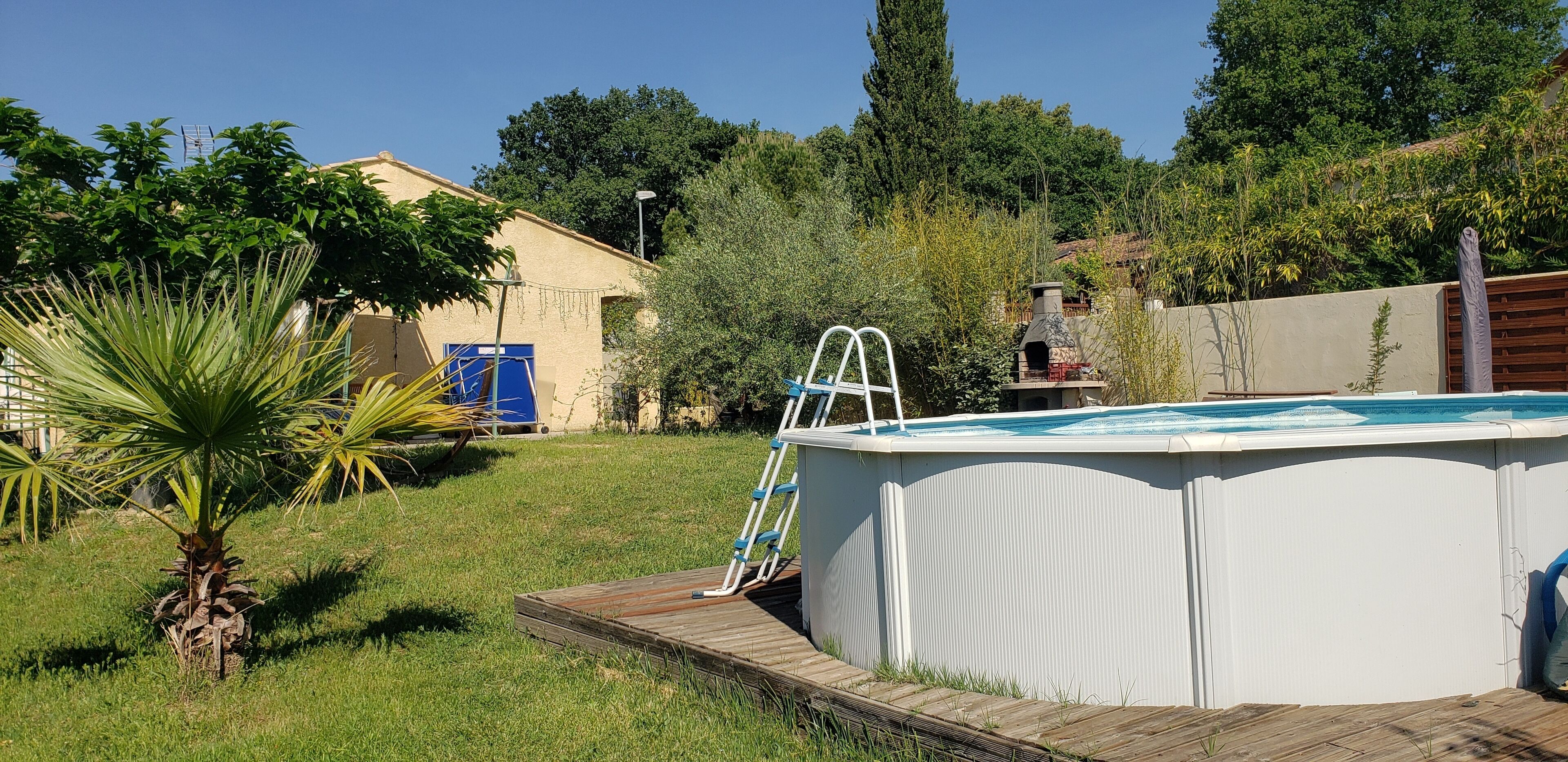 Un jardin avec une piscine, une terrasse en bois et un palmier.