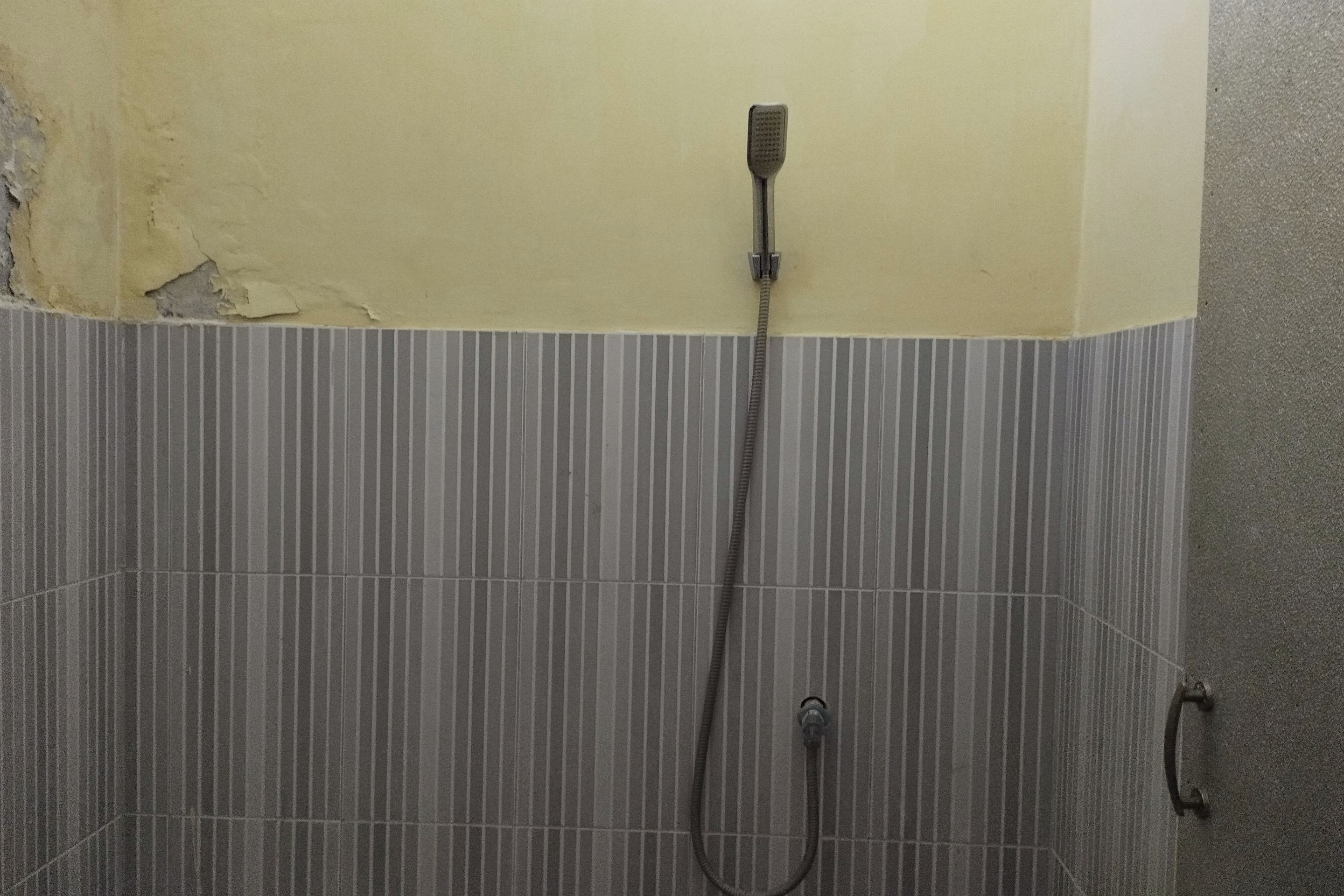 Un espace douche équipé d’un pommeau de douche à main et d’un robinet fixé au mur.