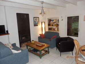 Smart TV, fireplace, books