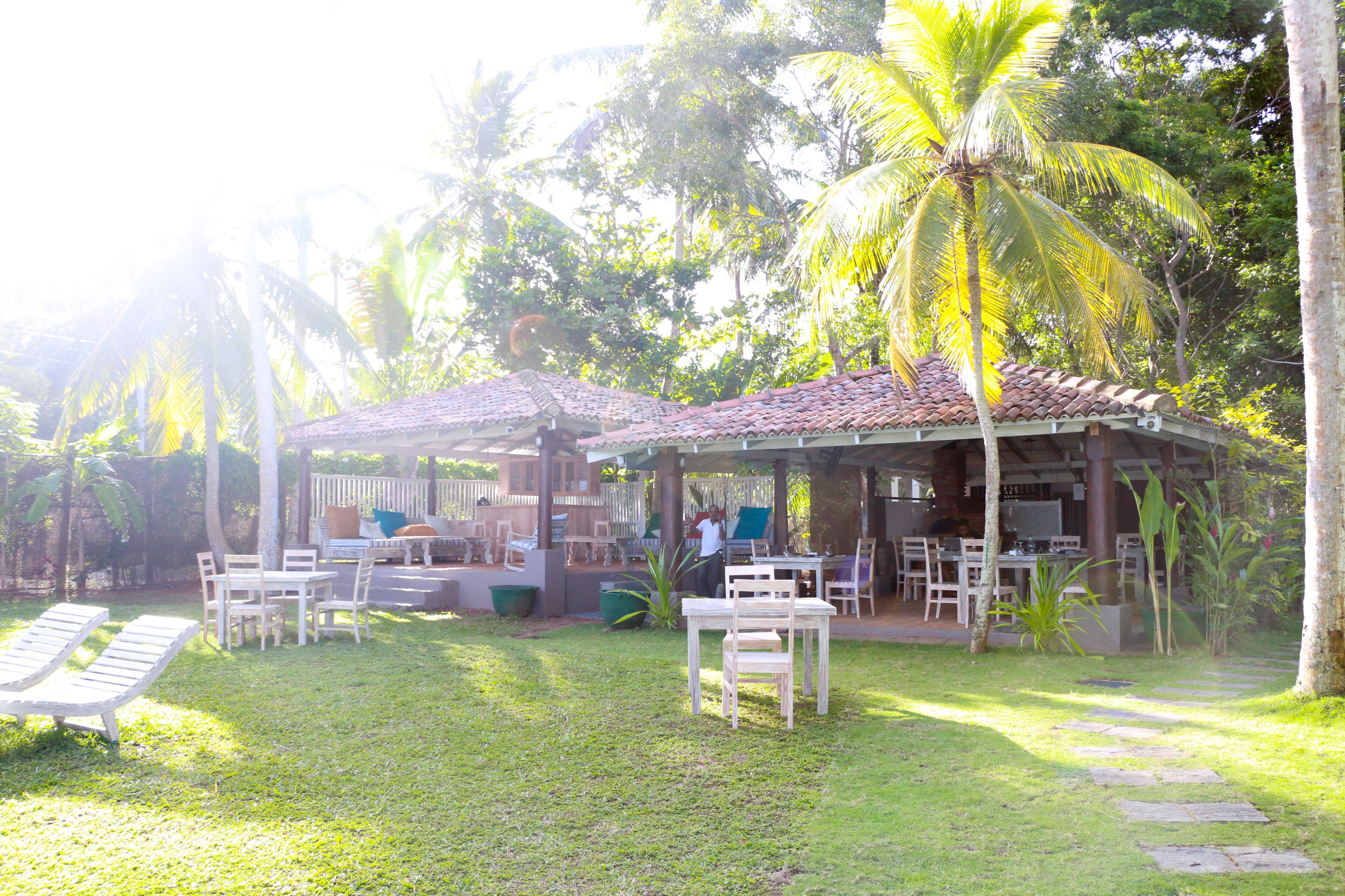 Un espace extérieur aménagé dans un style tropical, avec des tables et des chaises en bois, entouré de palmiers et abrité par une structure couverte.