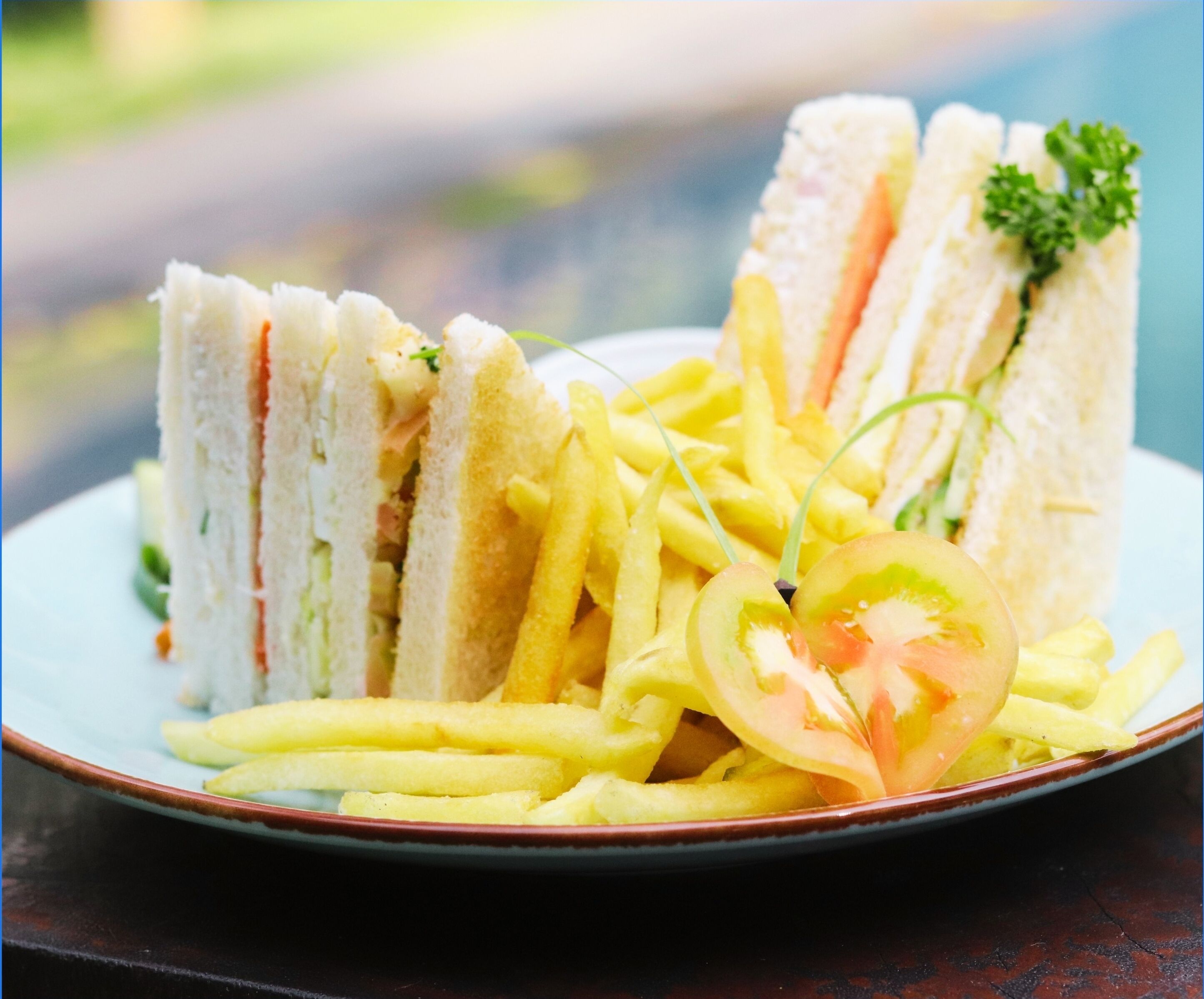 A plate with a sandwich and French fries.