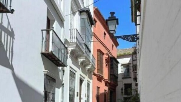 A narrow alleyway with checkered pavement, flanked by buildings with balconies and windows. - Apartamento Barrio Santa Cruz, Centro Sevilla (Sevilla)