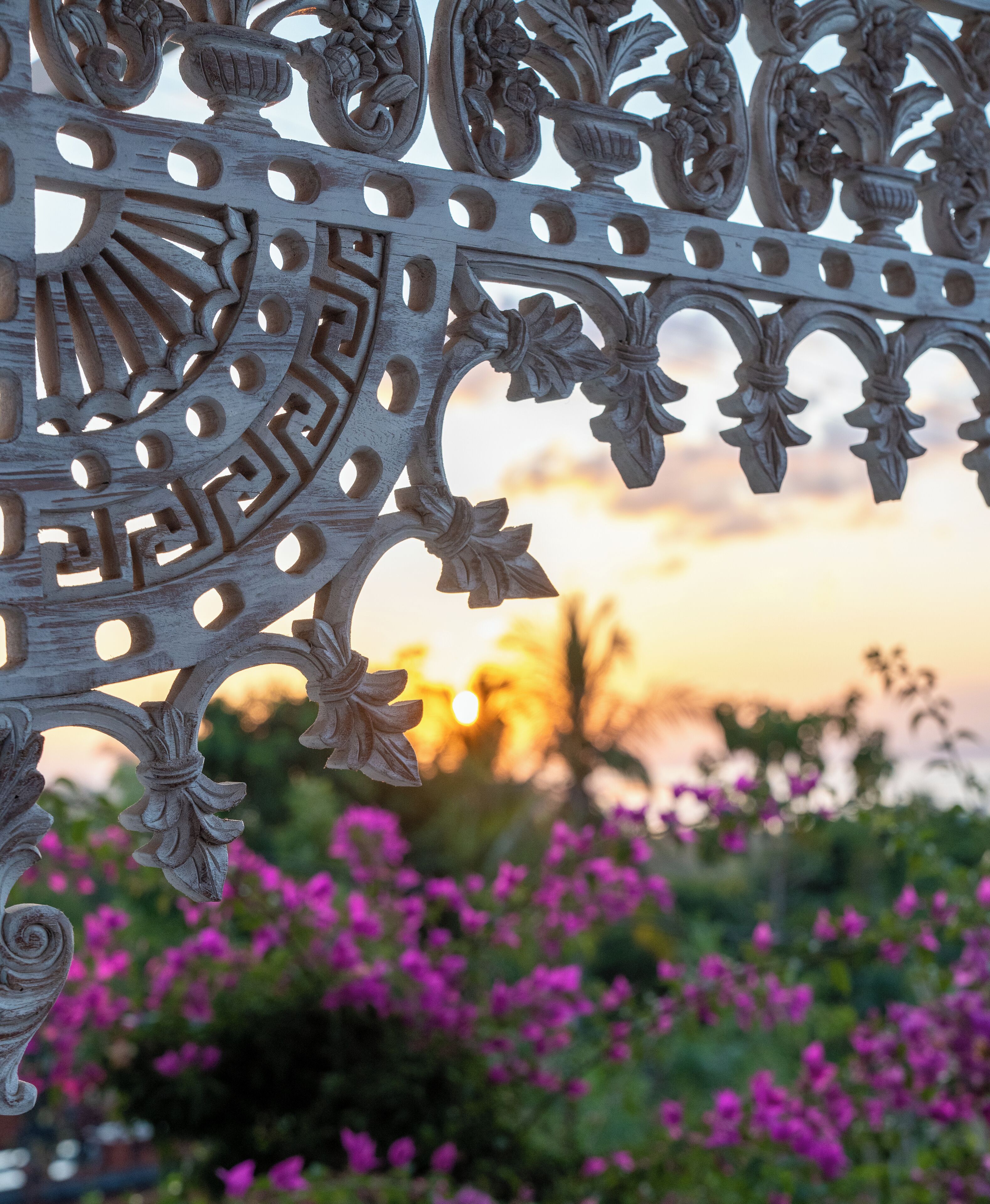 A detailed wrought iron gate with floral and geometric patterns, set against a backdrop of a sunset and vibrant purple flowers.
