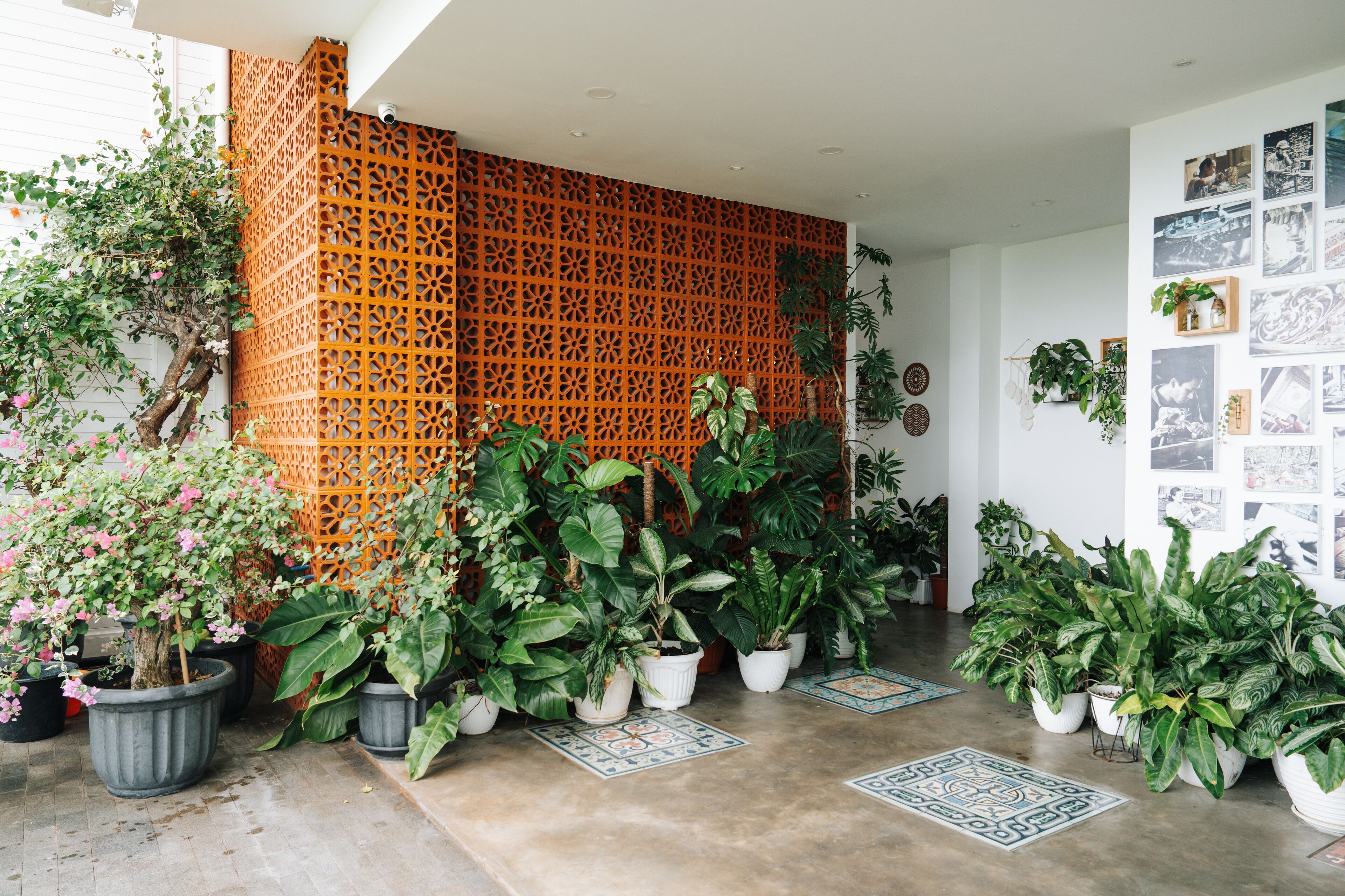 Un ambiente interno moderno con diverse piante in vaso, un pannello decorativo a griglia arancione e una parete decorata con quadri.