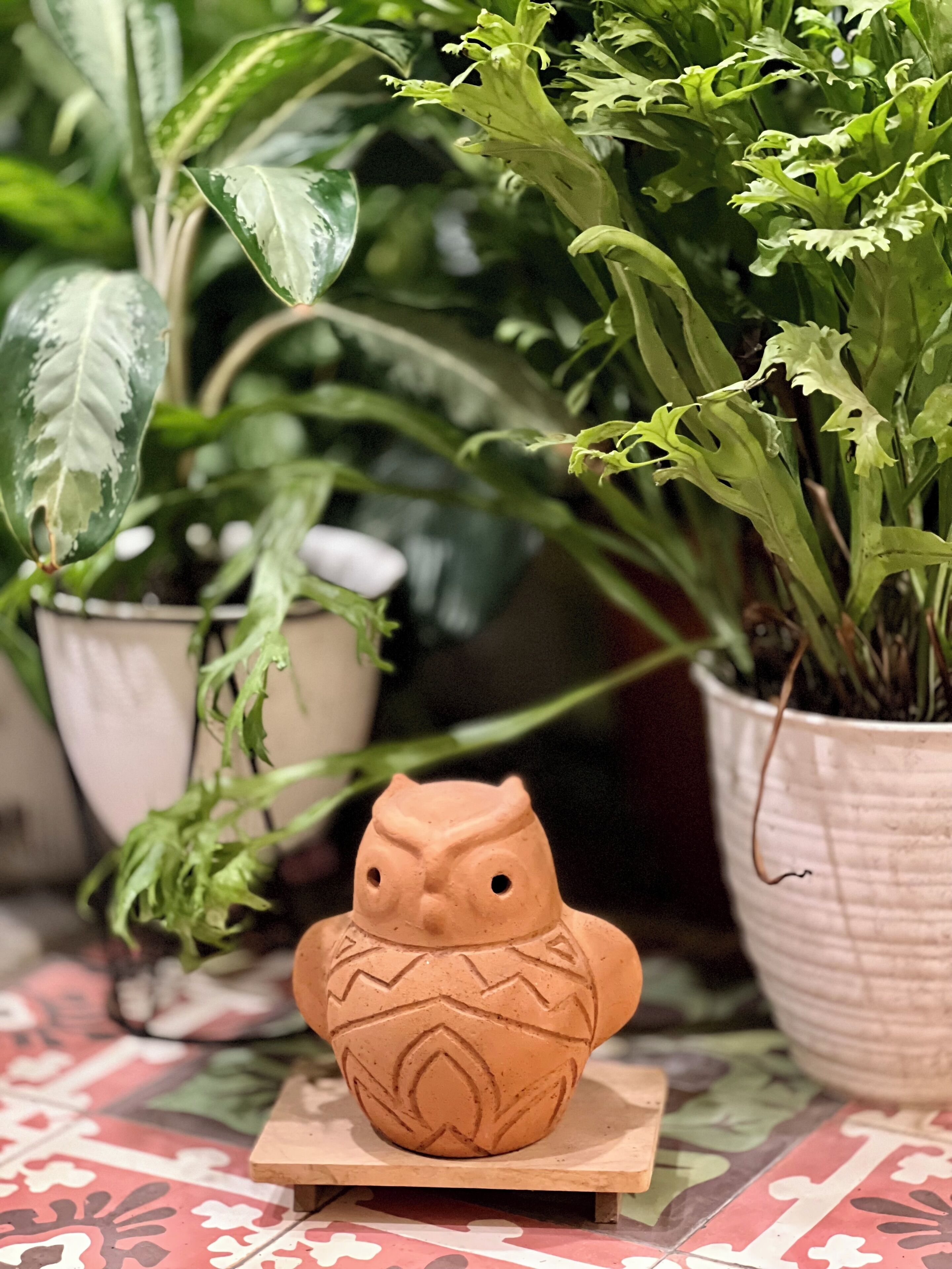 Una figura de búho de terracota sobre un soporte de madera, rodeada de plantas en macetas con hojas variegadas.