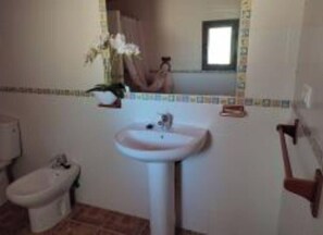 Shower, bidet, toilet paper