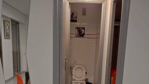 Un pasillo estrecho que lleva a un baño con inodoro, ducha y una pequeña estantería con un cuadro.