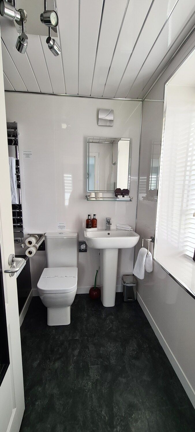 Un baño moderno con inodoro, lavabo y zona de ducha.