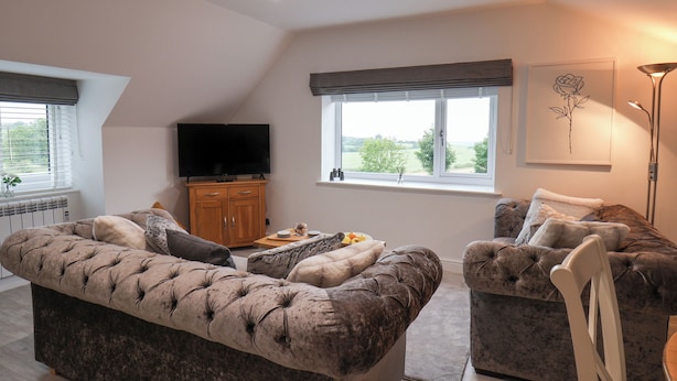 A spacious living room with a large flat-screen TV, two tufted sofas, a wooden cabinet, and a view of the outdoors through a window.