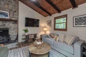 Smart TV, fireplace, books