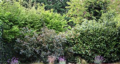 L'EDEN CHIC- Balnéo-Jardin-Parking gratuit, à deux pas de la CarriÚre Wellington