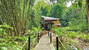 Property grounds - Casa Auratus: Jungle Paradise Near Gandoca Refuge (Manzanillo)