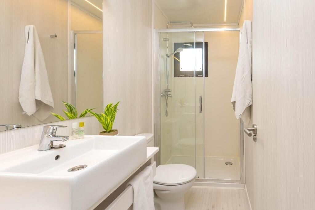 Une salle de bain moderne avec un lavabo blanc, un miroir et des toilettes, une douche en verre et une plante en pot posée sur le meuble-lavabo.