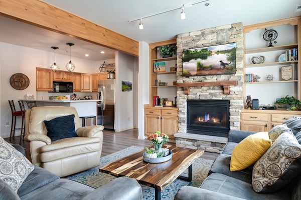 TV, fireplace, books