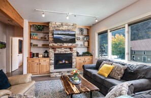 TV, fireplace, books