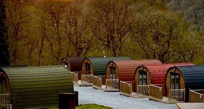 Forest Pod 4 (Pet Friendly) - a glamping pod that sleeps 2 guests in 1 bedroom