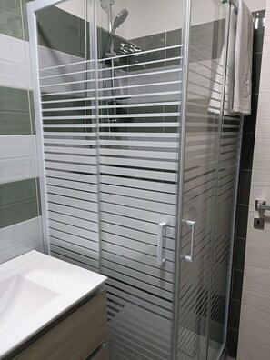 Shower, hair dryer, bidet, towels