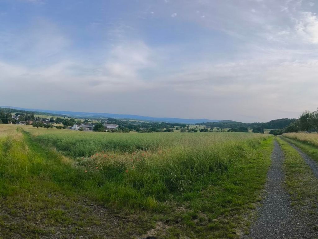 Ferienhaus Retro trifft Moderne