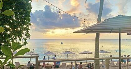 Palm Grove by Bluescape