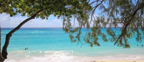 Playa en los alrededores