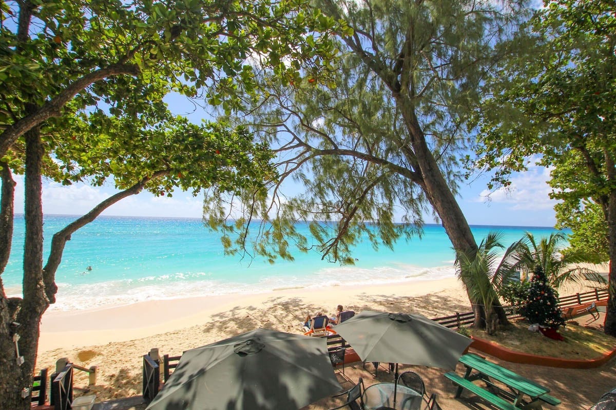 A beach with umbrellas, chairs, and a Christmas tree.