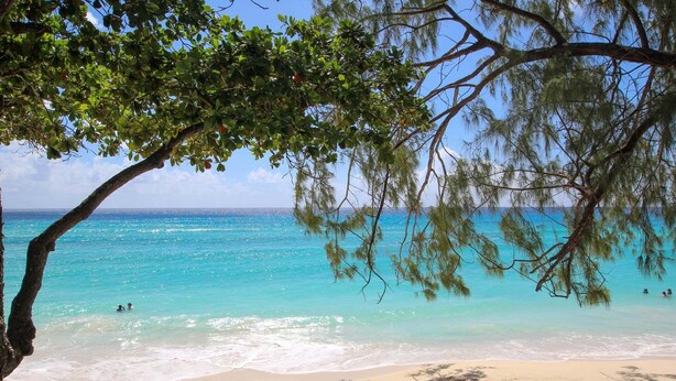 A beach with clear turquoise water, people swimming, and a tree providing shade. - 3 Sea Star by BSL Rentals (Worthing)