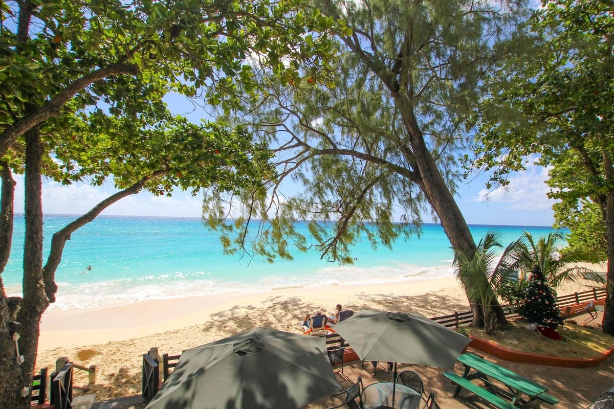 A beach with umbrellas, a bench, and a Christmas tree.