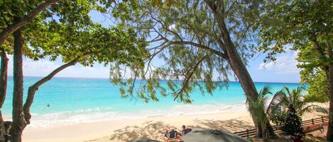 A beach with umbrellas, a bench, and a Christmas tree.