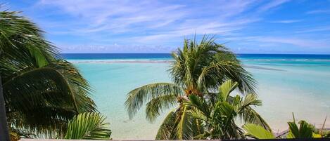 Appartement, 3 chambres | Enceinte de lâhĂ©bergement