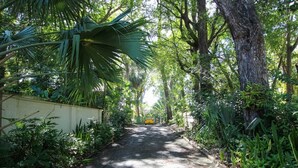 A narrow, tree-lined path leading to a building. - Church Point Cottage 3 Bedroom Home by Bluescape (Holetown)