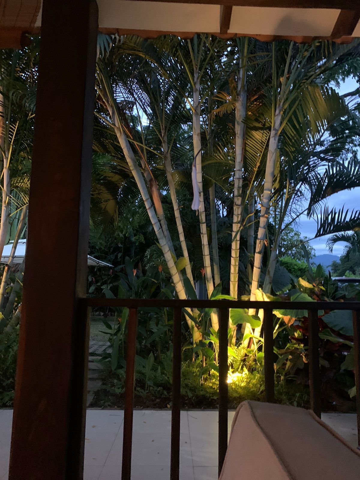 A tropical garden with bamboo and palm trees, a tiled floor, and a wooden structure.