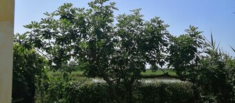 Quiet apartment in nature near the Marano lagoon.