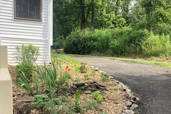 Àrea exterior de l'allotjament