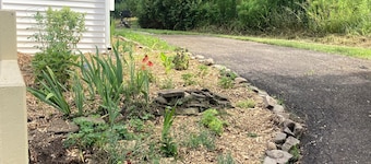 The Bungalow. A beautiful spot to unwind, surrounded by nature