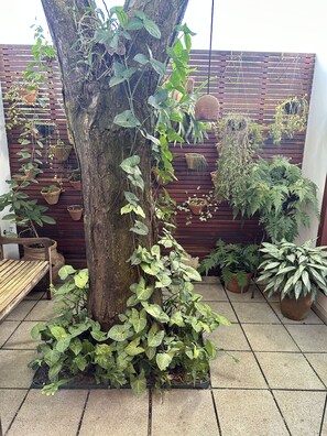 奢华客房 | 露台