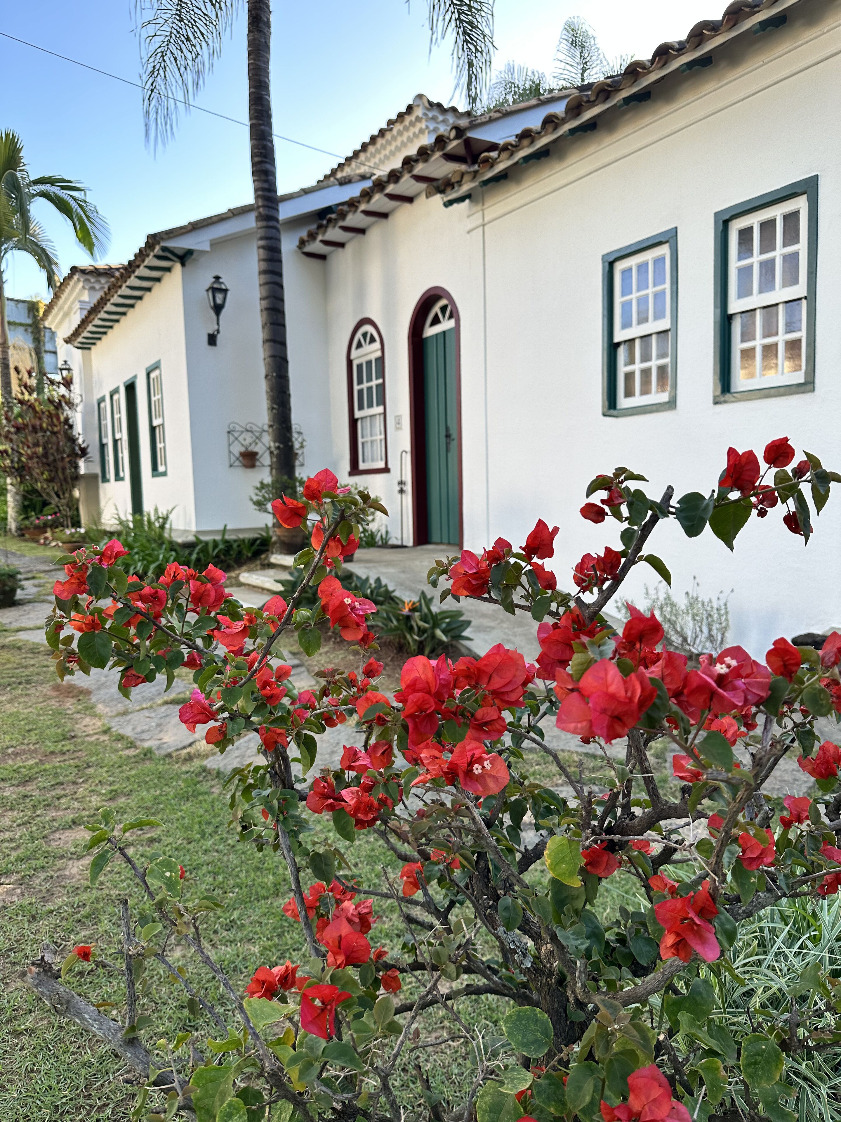 Un edificio blanco con marcos y puerta verdes, rodeado de flores rojas y una palmera.