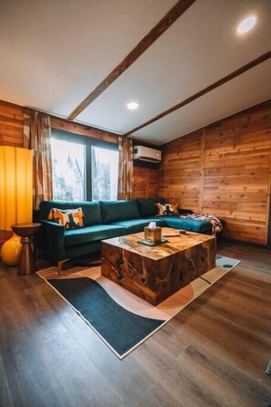 Una televisión, una chimenea