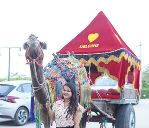 어린이 즐길거리