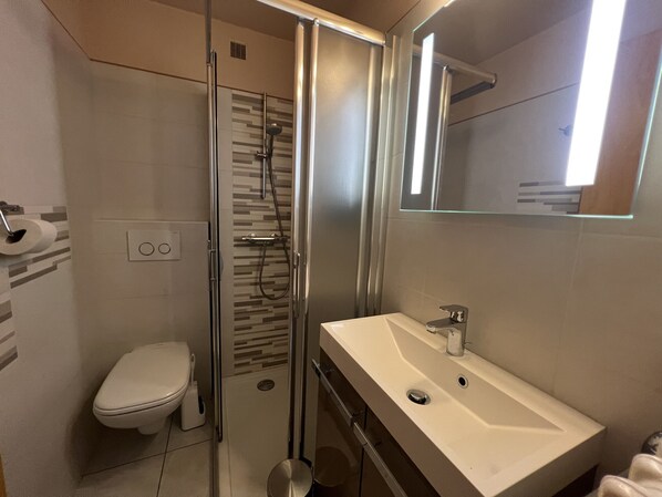 A modern bathroom with a glass-enclosed shower, a white toilet, and a sink with a mirror above it.